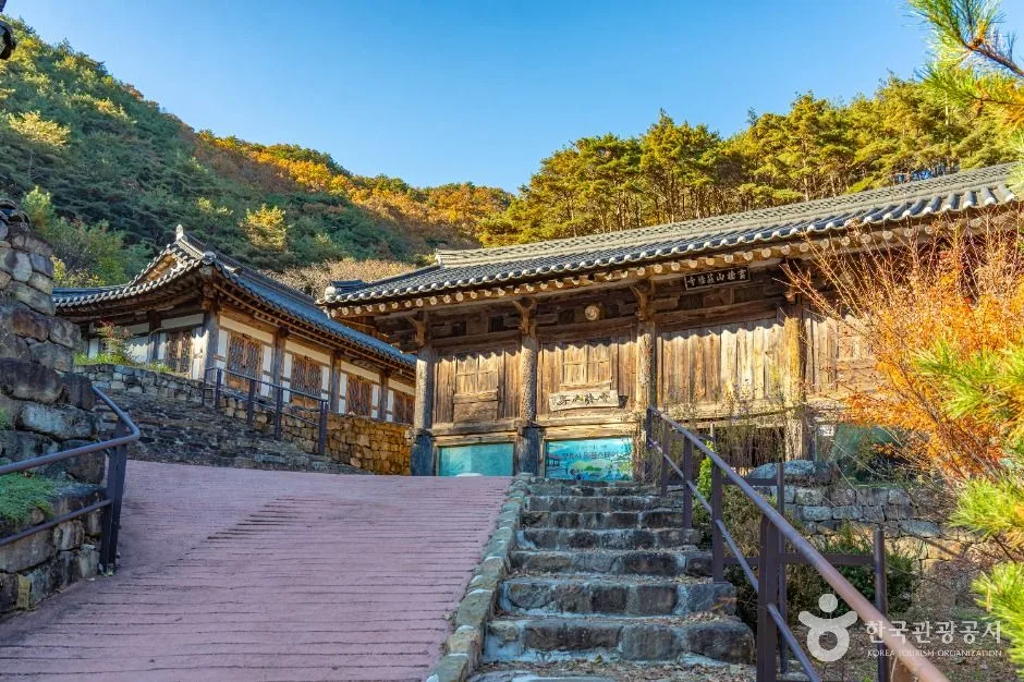 영덕_장육사 (9)