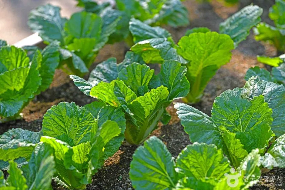 부평구_부영공원 (6)
