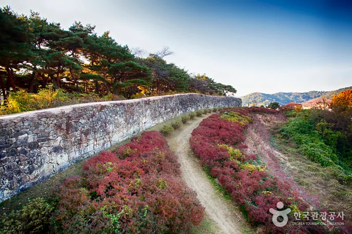 고창읍성_1