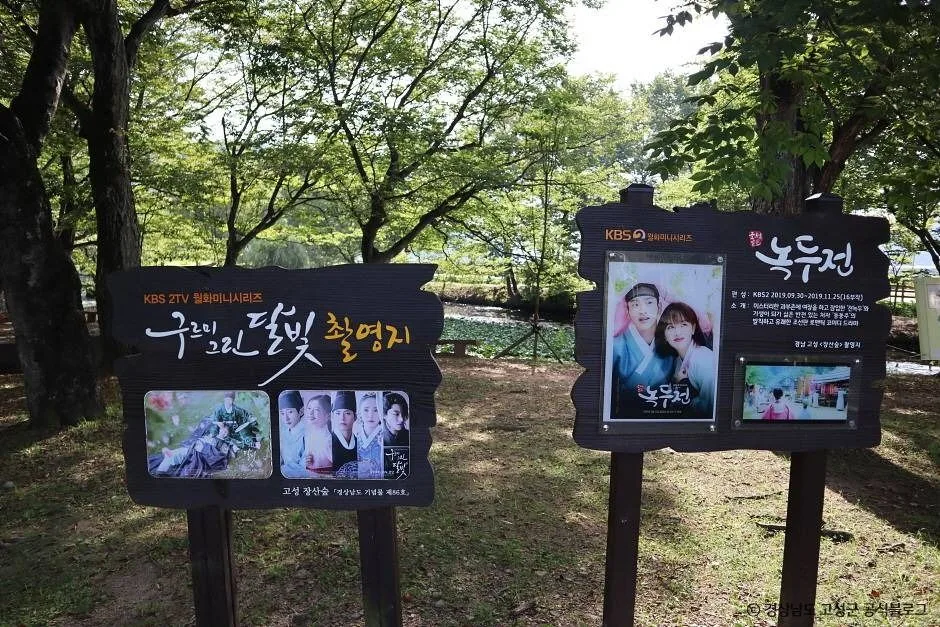 고성_장산숲 (2)