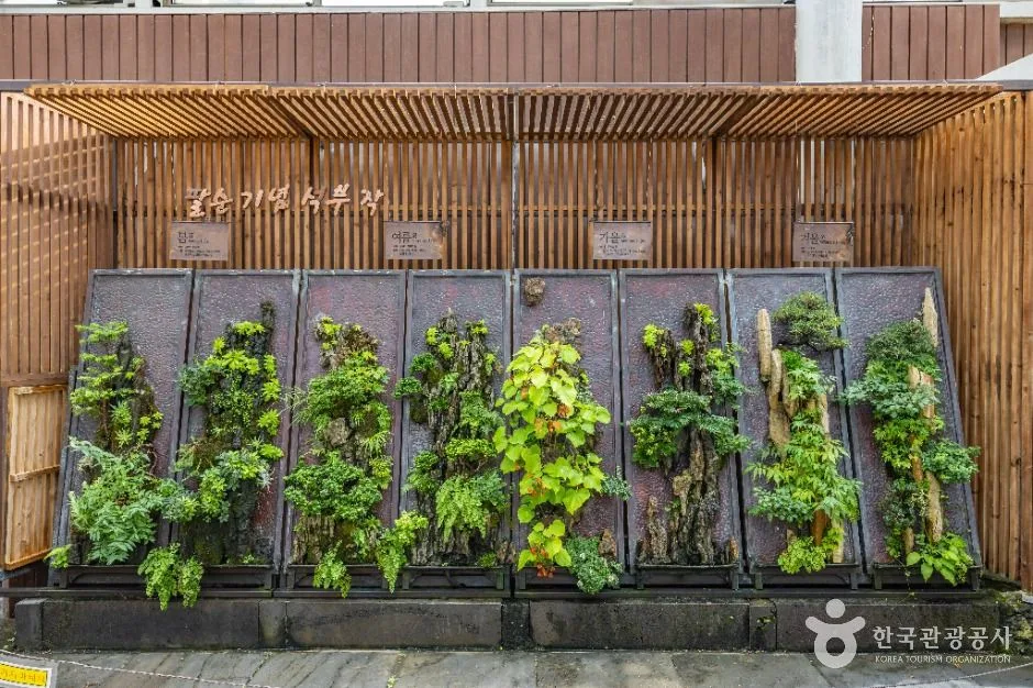 제주_방림원 (4)
