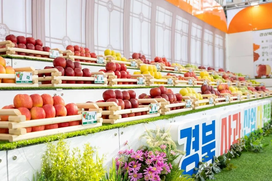 2026 경북사과홍보행사