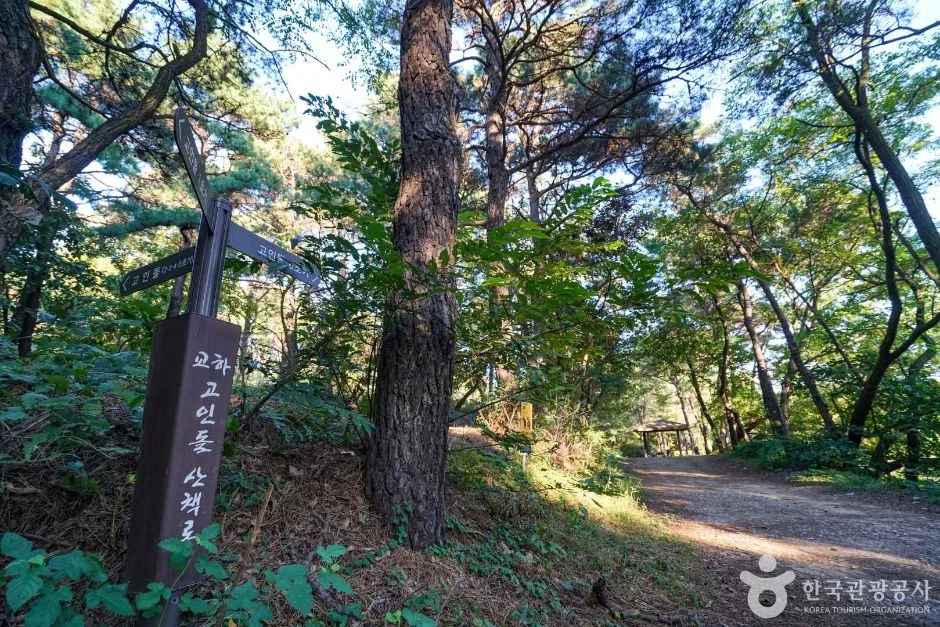 경기_파주_교하동 고인돌 산림욕장 (6)