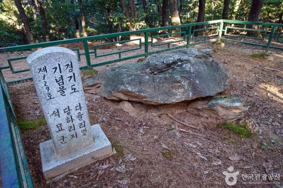 경기_파주_교하동 고인돌 산림욕장 (4)