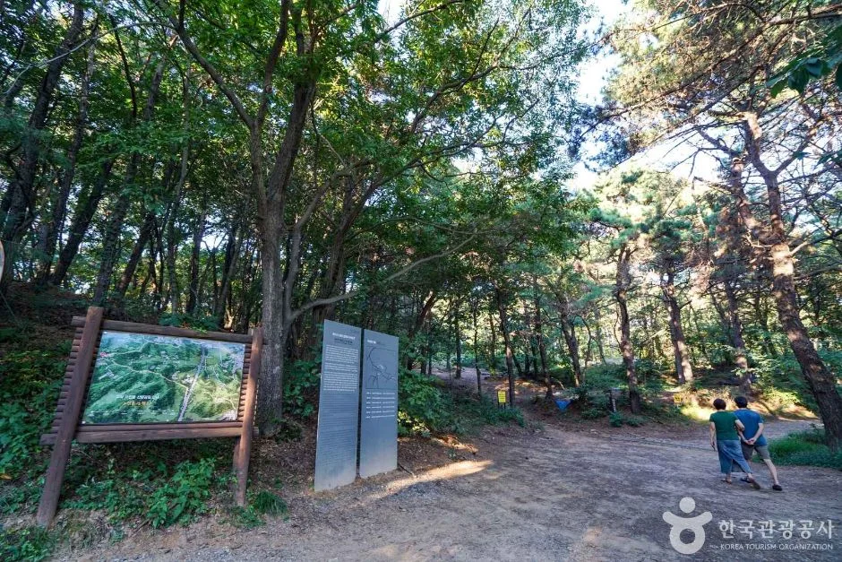 경기_파주_교하동 고인돌 산림욕장 (7)