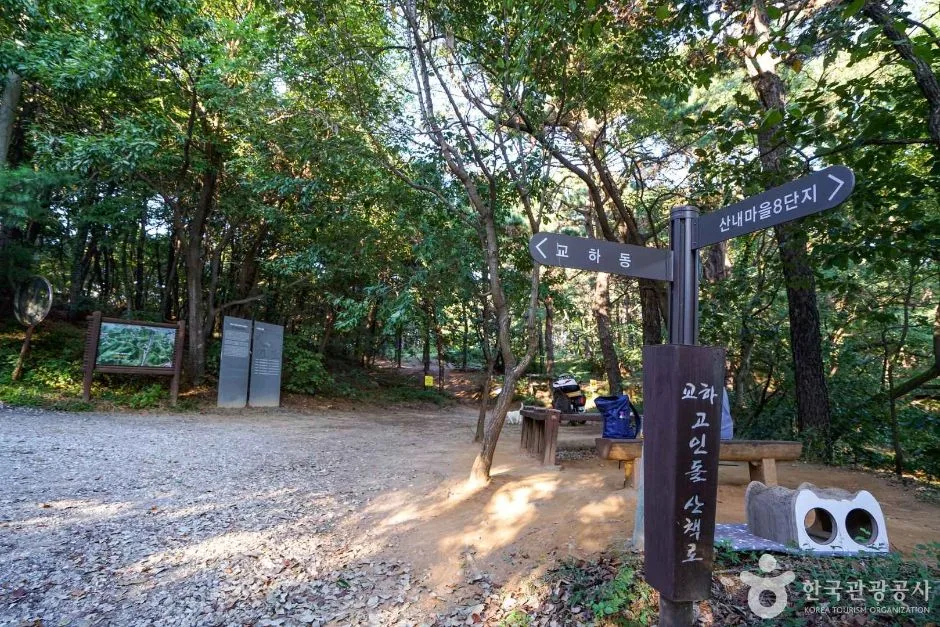 경기_파주_교하동 고인돌 산림욕장 (2)