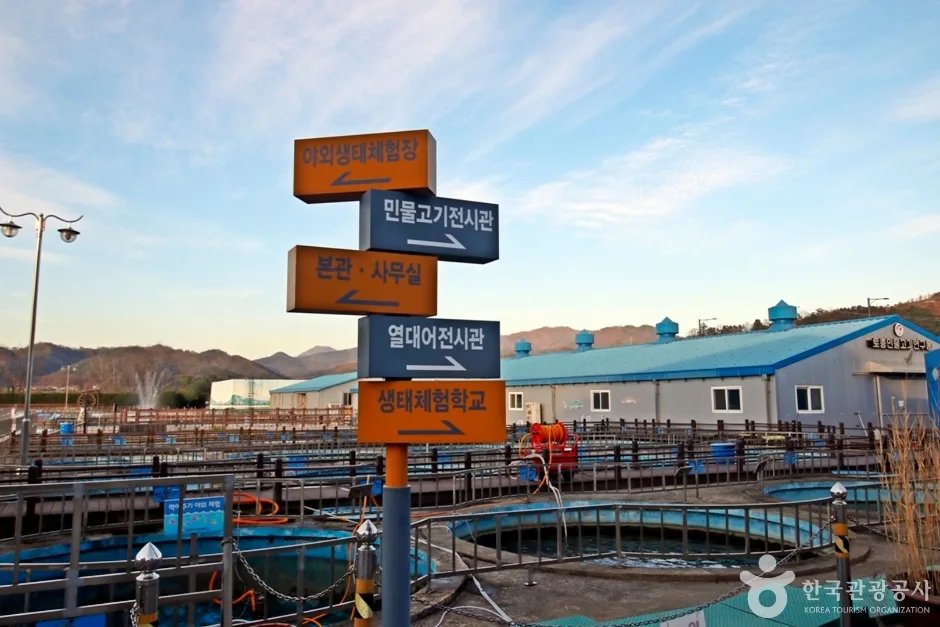 충주 민물고기전시관 (17)