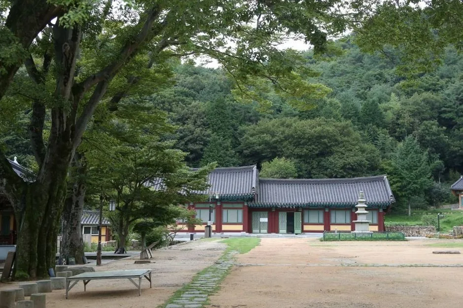 무위사 (7)