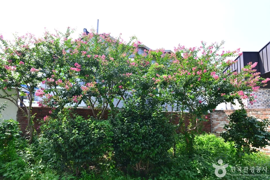 창작농성골 (11)