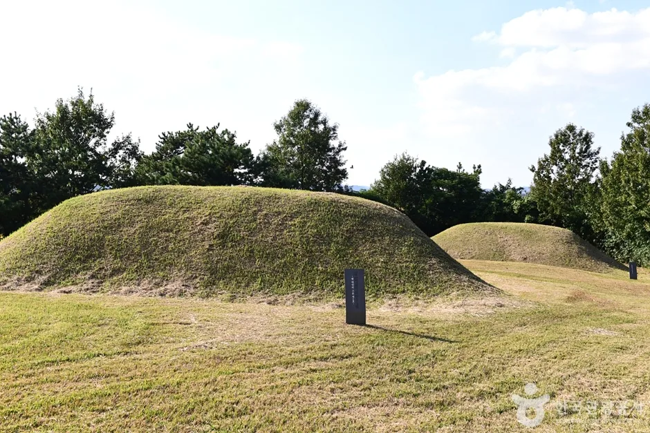 전남_나주_나주 반남 고분군 (11)