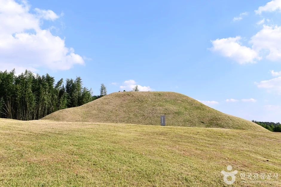 전남_나주_나주 반남 고분군 (8)