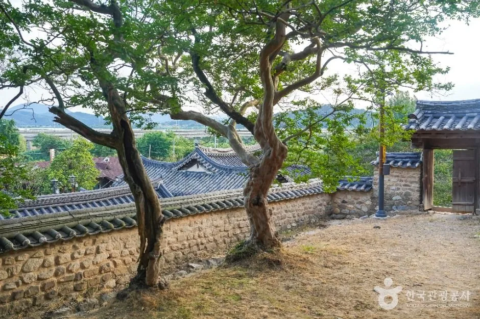 대구_달성 하목정 (2)