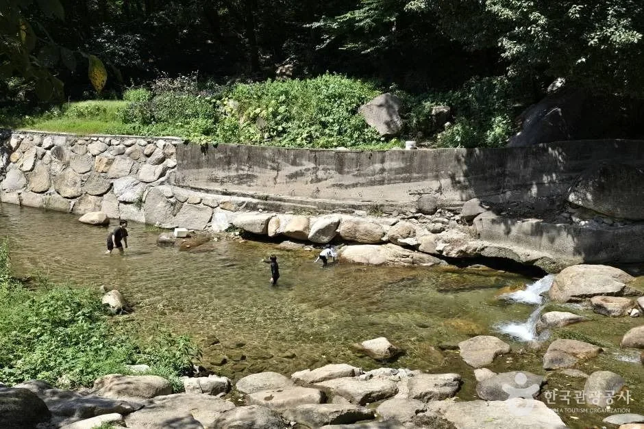 대천천_e (7)