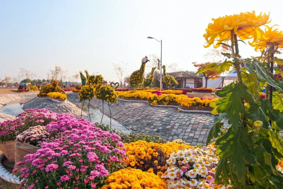 2026 당진국화전시회 (3).JPG