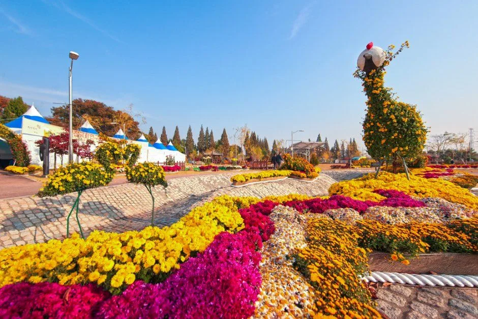 2026 당진국화전시회 (2).JPG
