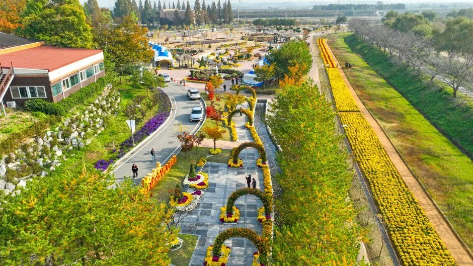 2026 당진국화전시회 (1).JPG