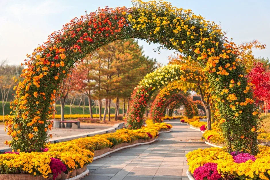 2026 당진국화전시회 (4).JPG