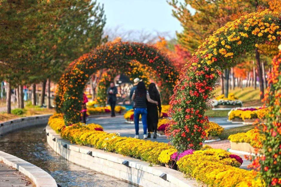 2026 당진국화전시회 (7).JPG