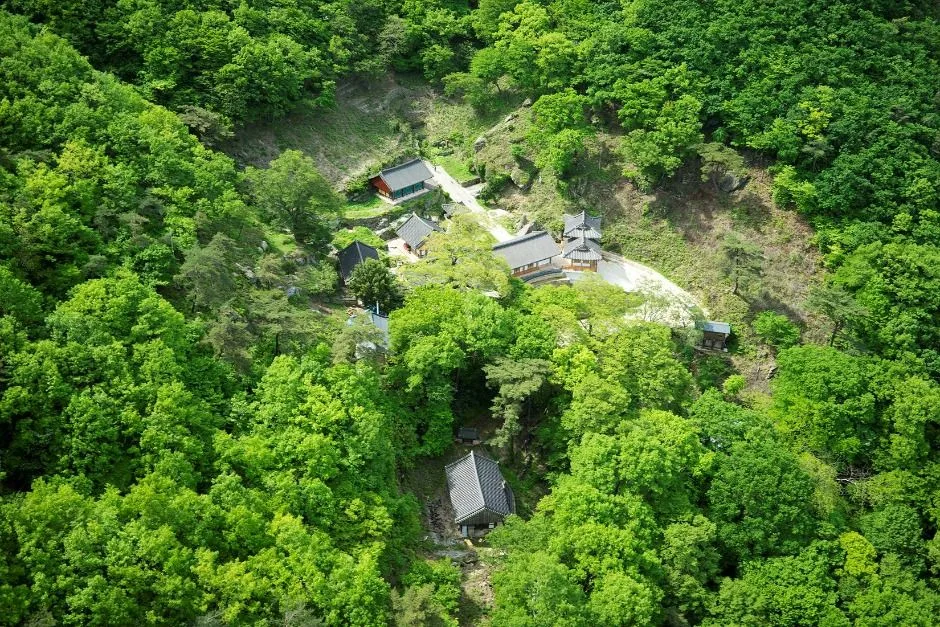 고흥_운암산(고흥) (10)