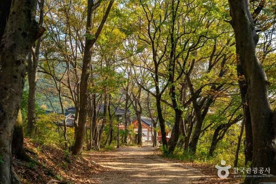포항_보경사 (1)