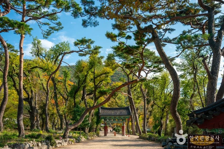 포항_보경사 (2)