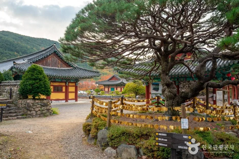 포항_보경사 (5)