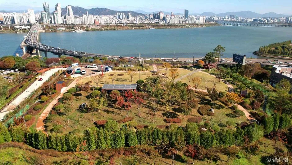 삼성해맞이공원 (2)