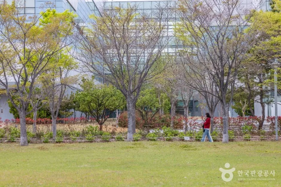 부산_아미르공원 (5)