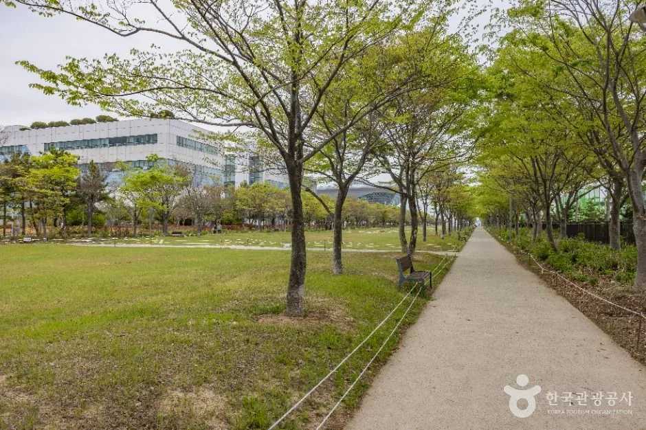 부산_아미르공원 (4)