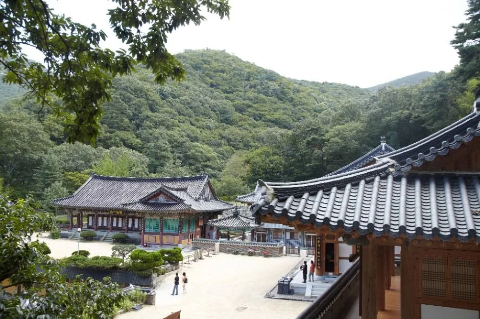 양산_내원사 (3)