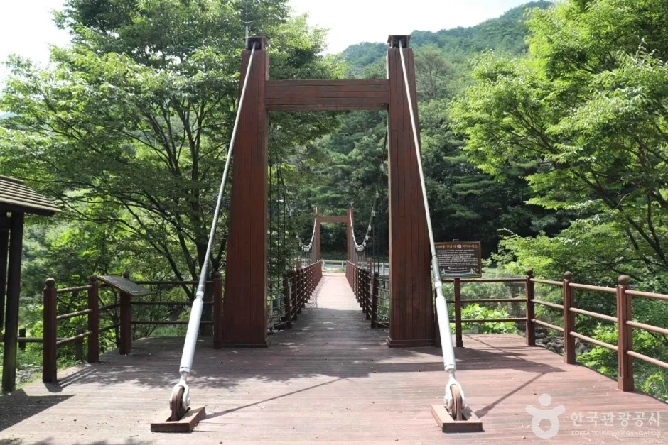 상선암 (9)_e