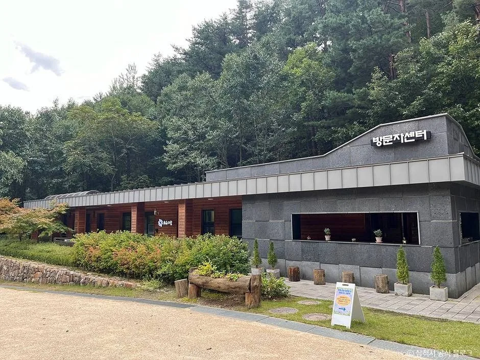 삼척_삼척 활기 치유의 숲 (4)