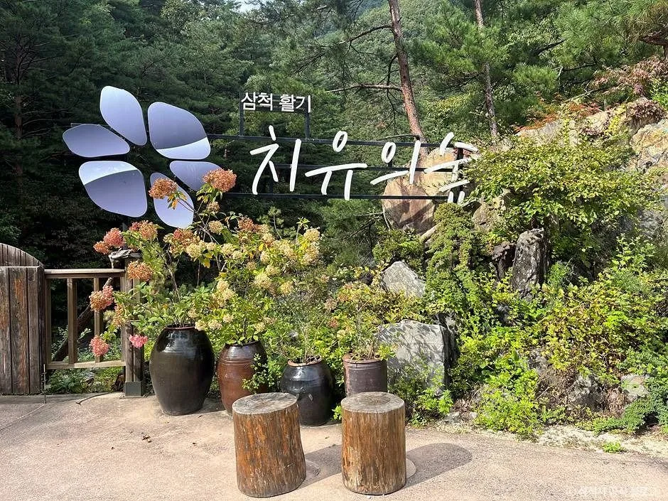 삼척 활기 치유의 숲