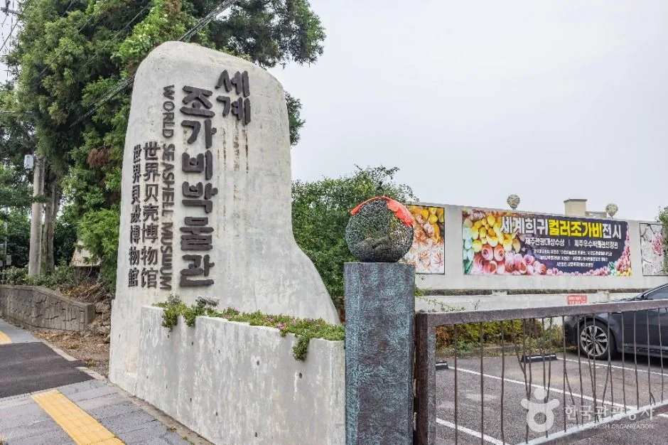 그림과 조가비, 옛 배움터를 따라가는 제주 문화 여행_제주_서귀포_세계조가비박물관_4.JPG