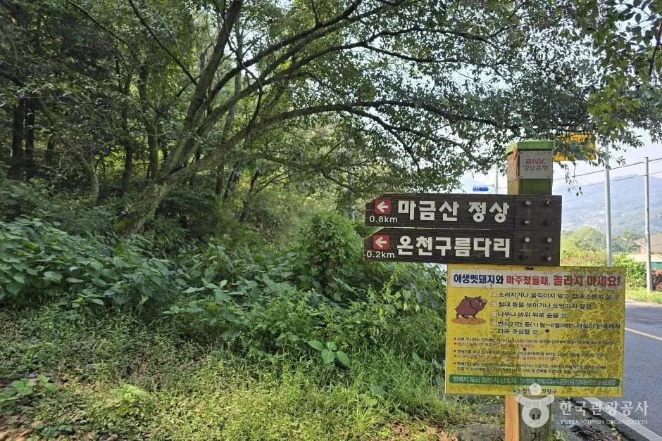 마금산_e (6)