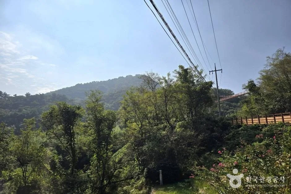 마금산_e (12)