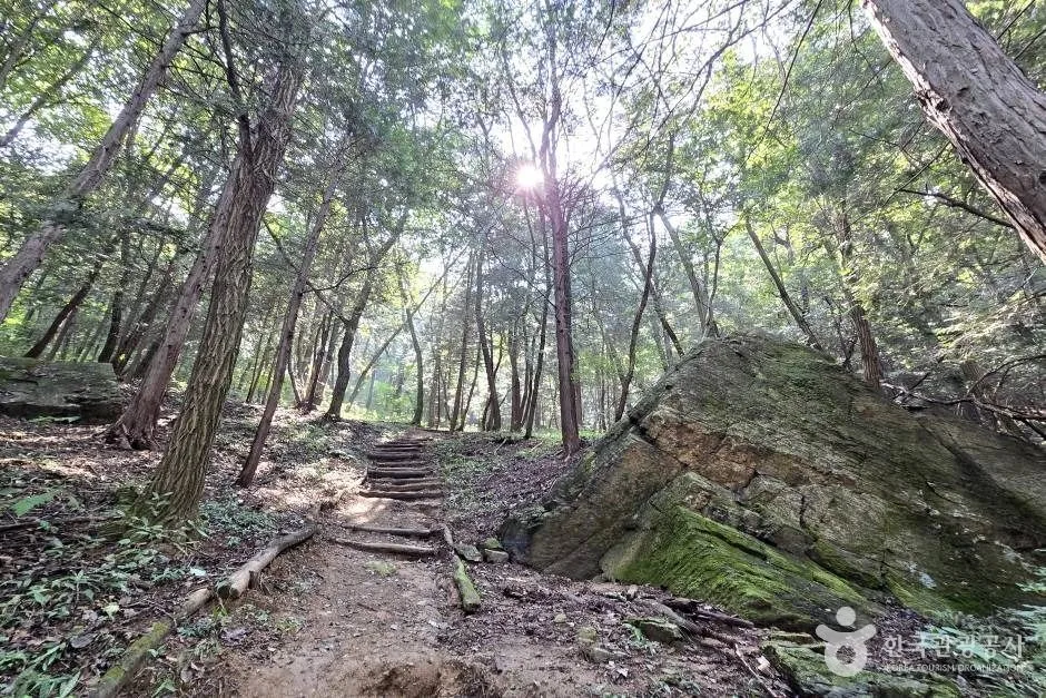 마금산_e (7)