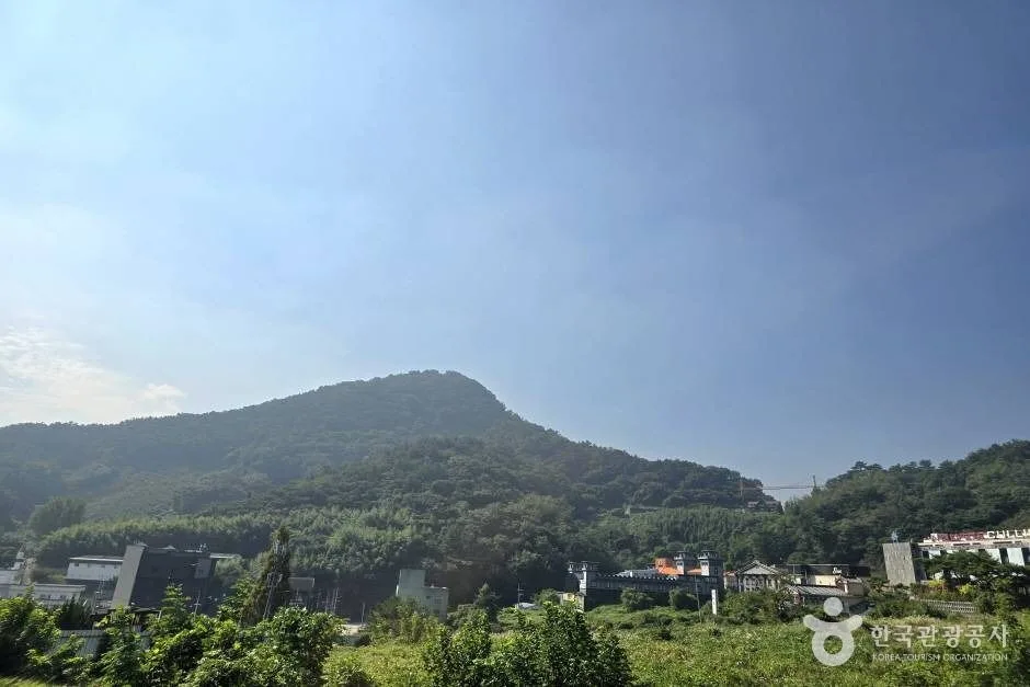마금산_e (14)