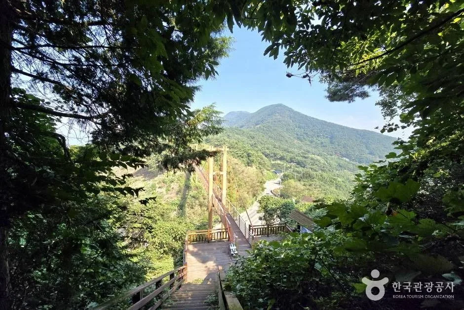 마금산_e (8)