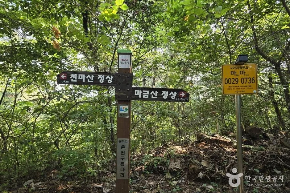 마금산_e (10)