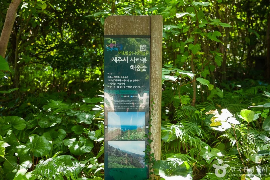 사라봉 공원(13)