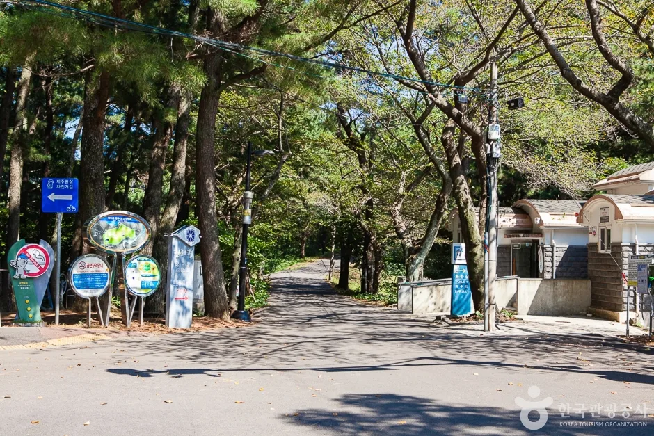 사라봉 공원(7)