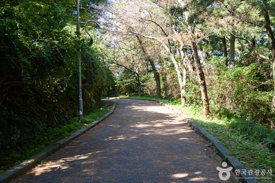 사라봉 공원(10)