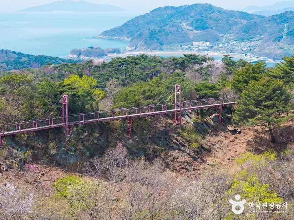 인천_부아산 구름다리 (4).jpg