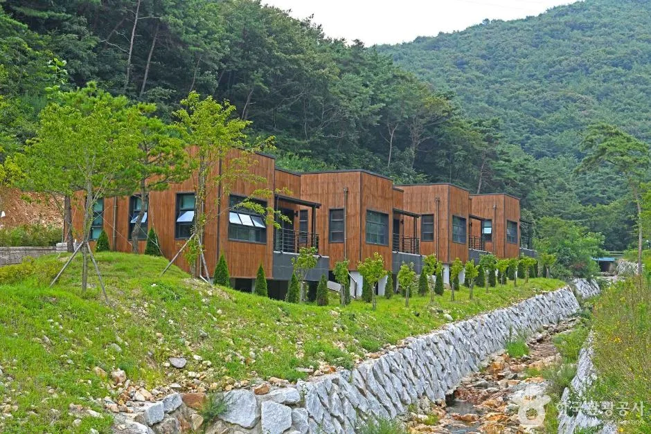 선암 자연휴양림 (4)