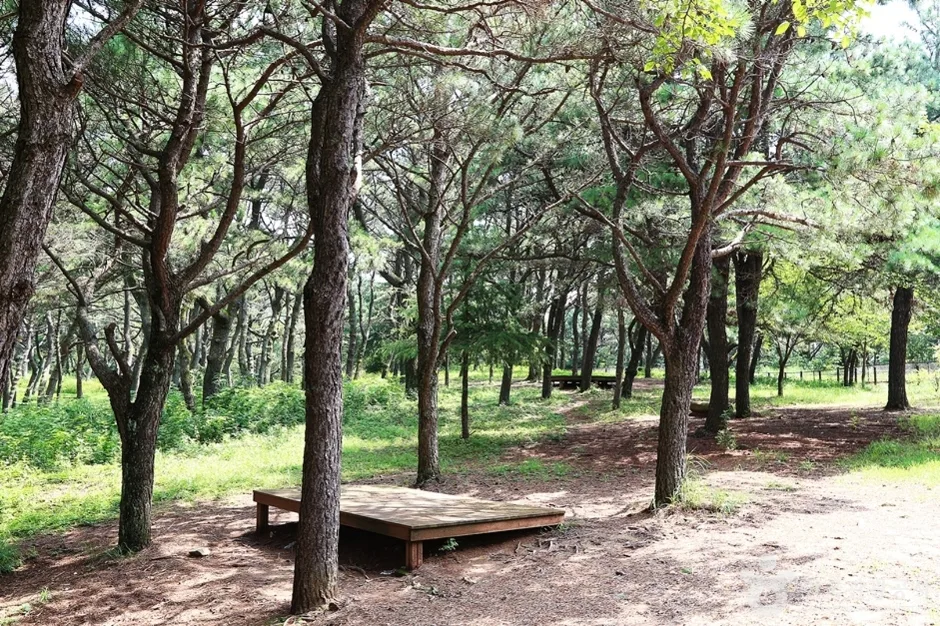 금정산성 동문 (5)