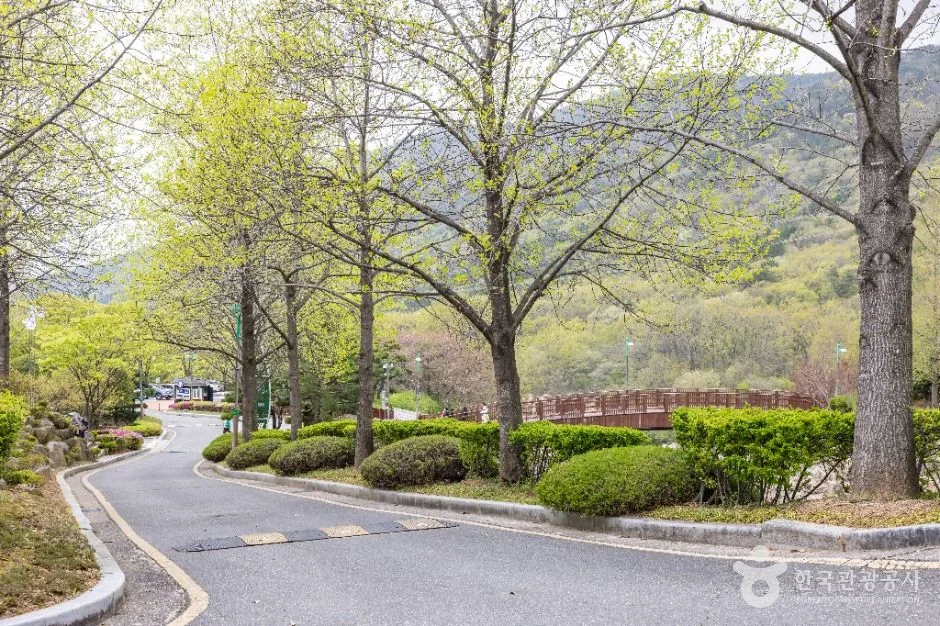 부산_화명수목원 (7)