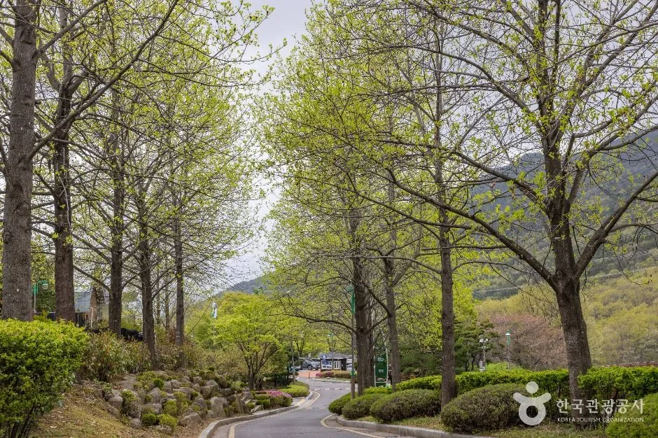 부산_화명수목원 (10)