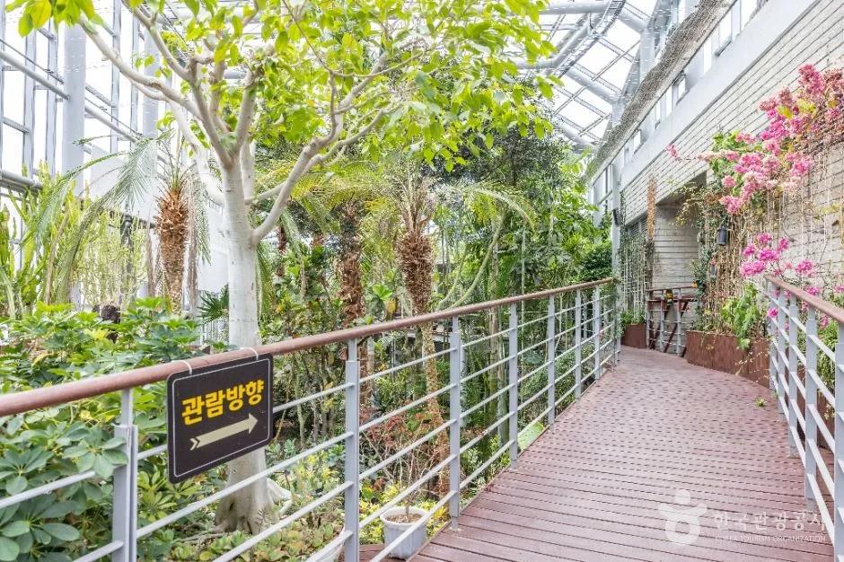 부산_화명수목원 (16)