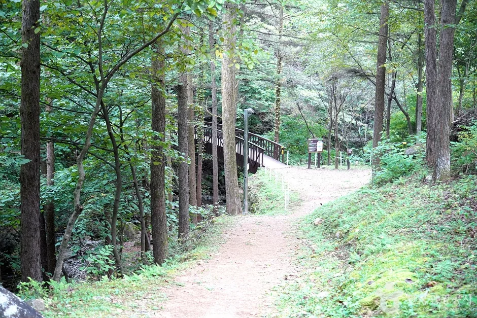 국립 백운산자연휴양림(원주) (10)